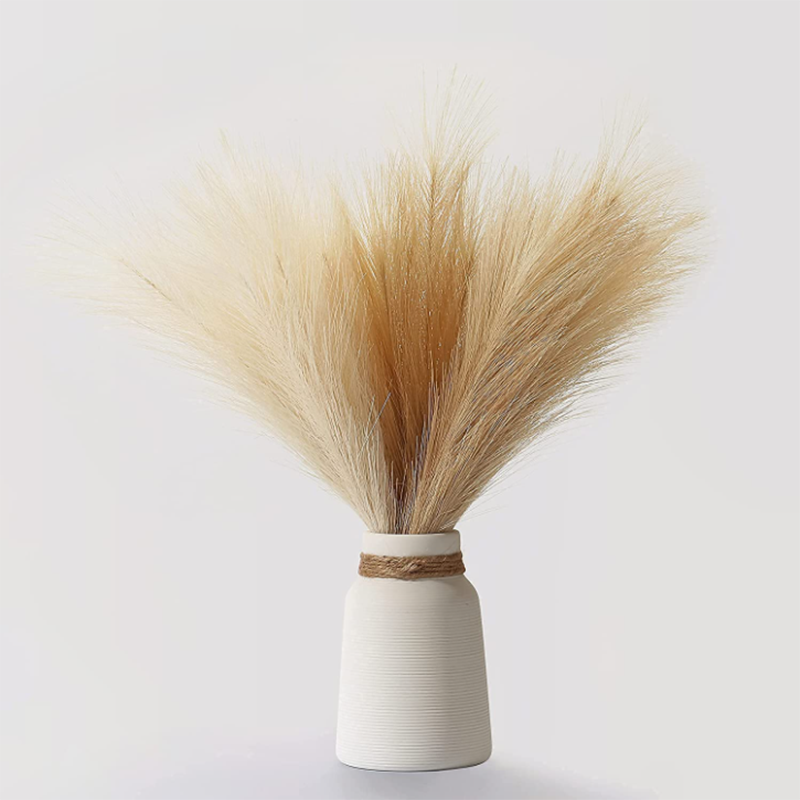 Dried Flower Bulk - 10 pezzi di erba di pampa