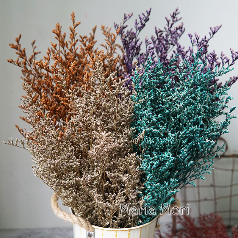 Dried Flower Bulk - 50g/Erba di San Valentino Stabilizzata Limonium