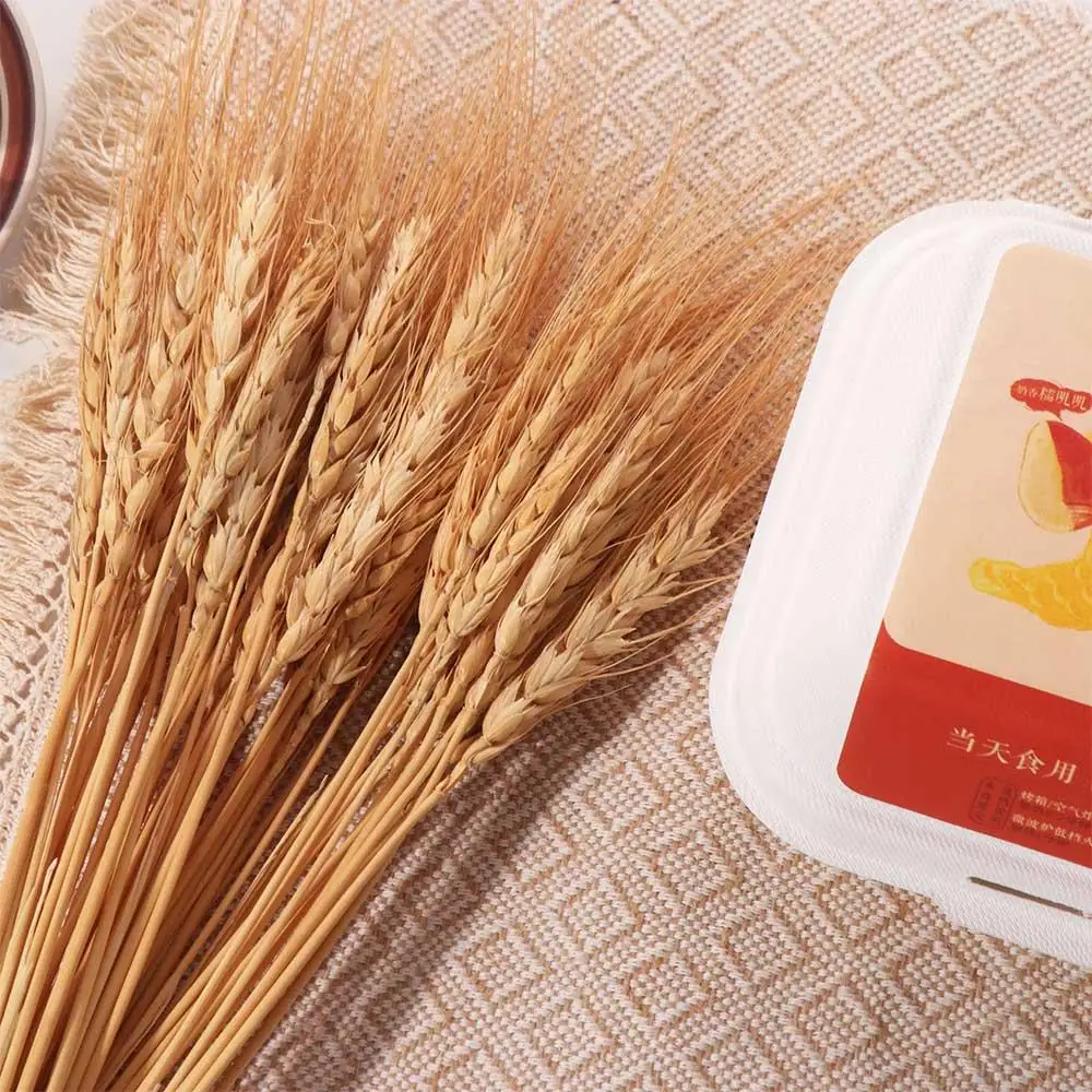 50 Pezzi di Steli di Grano Ess - Dried Flower Bulk recensione e prezzo