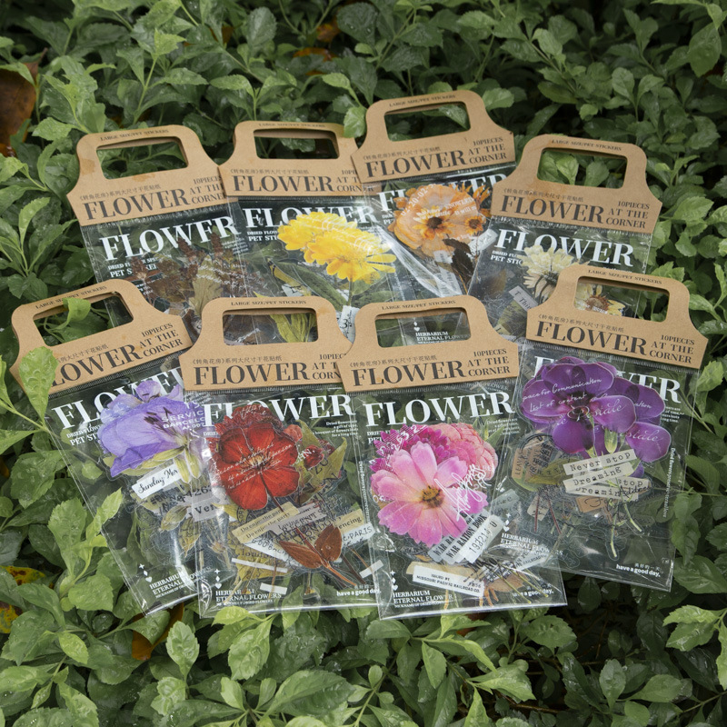 10 Pezzi/Pacco Adesivi Serie C - Dried Flower Bulk recensione e prezzo