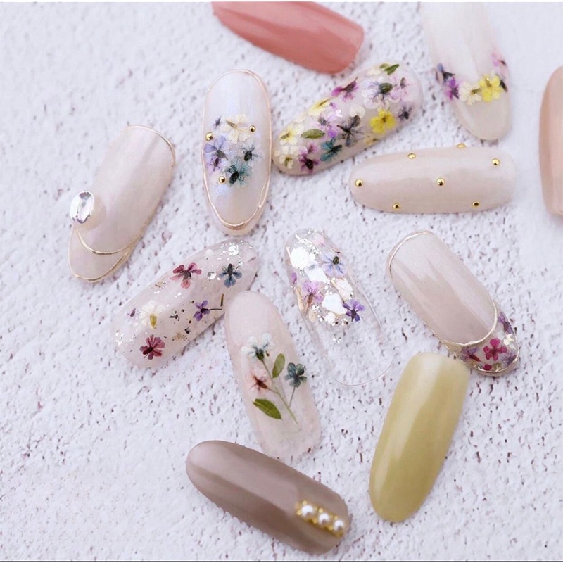 Piccole fiori secchi misti per - Dried Flower Bulk recensione e prezzo