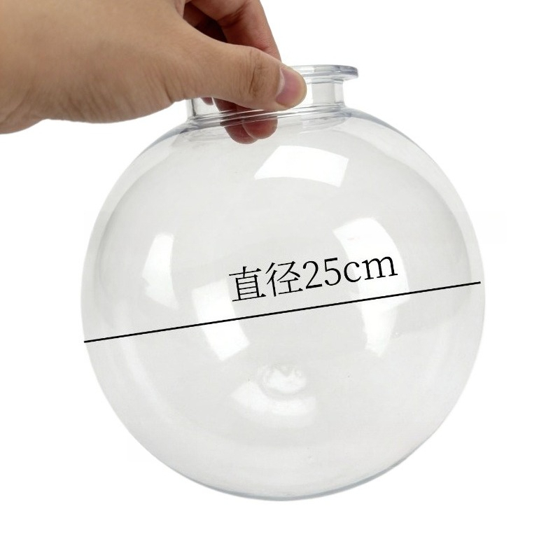 Contenitore a Cupola Trasparen - Dome Mold Clear recensione e prezzo